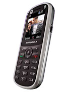 Best available price of Motorola WX288 in Edt